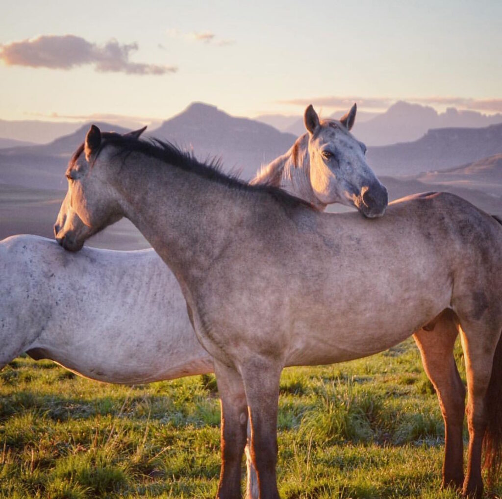 Ripples in rural tourism
