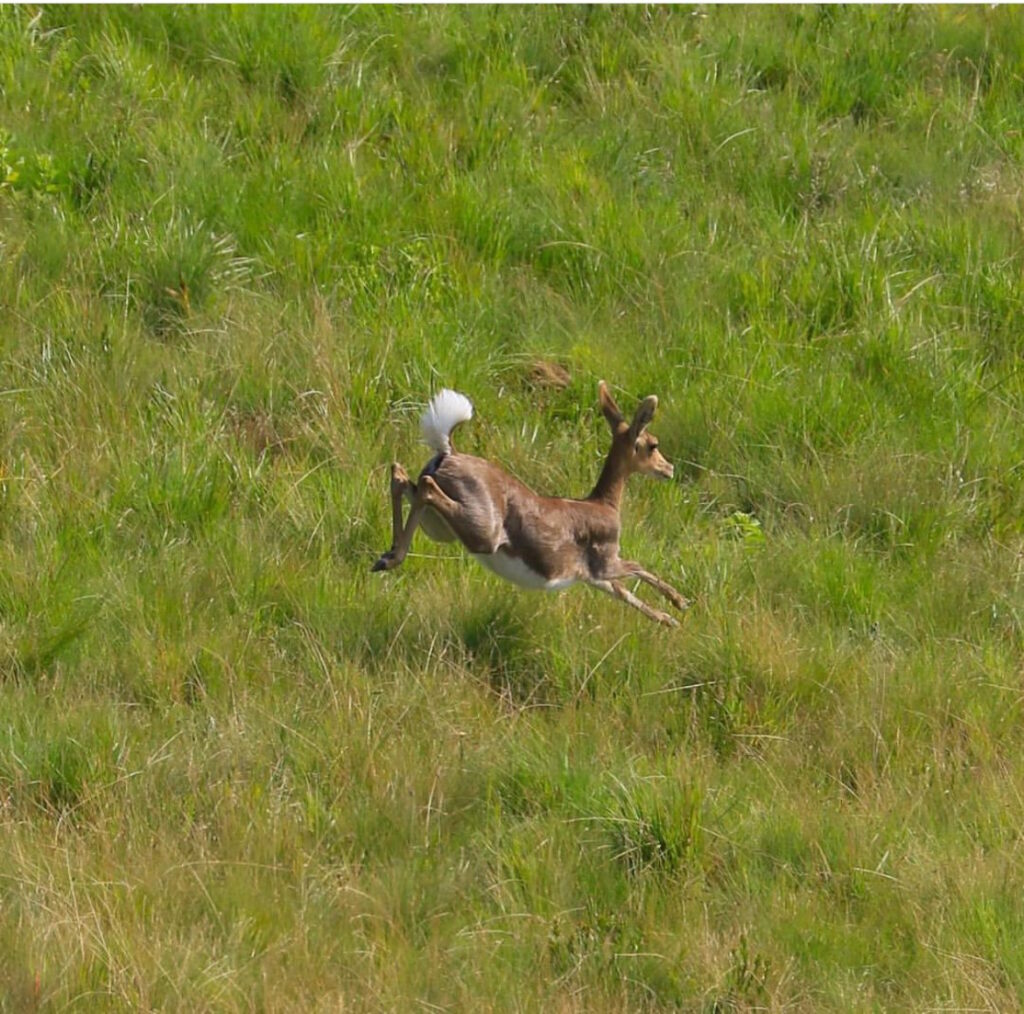 Ripples in rural tourism