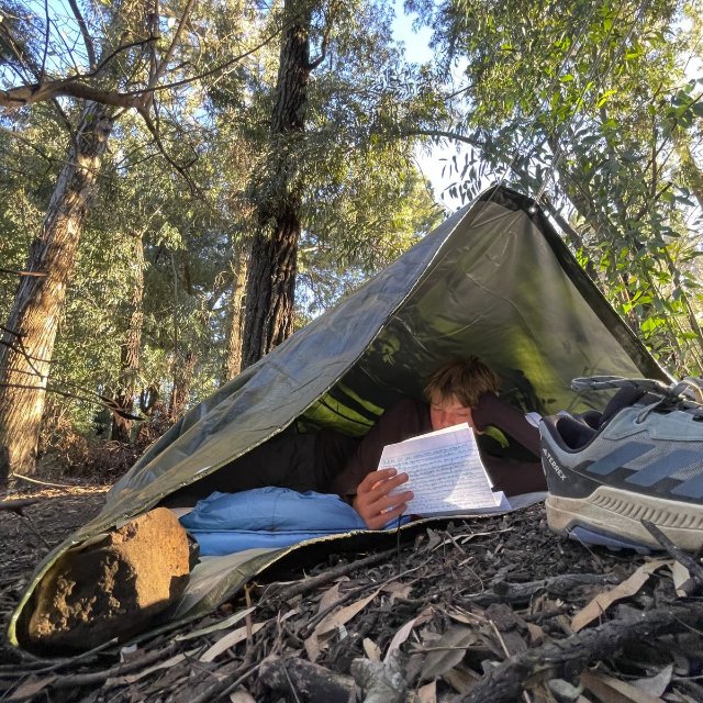 Camp wild