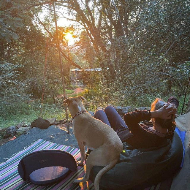 Camp wild