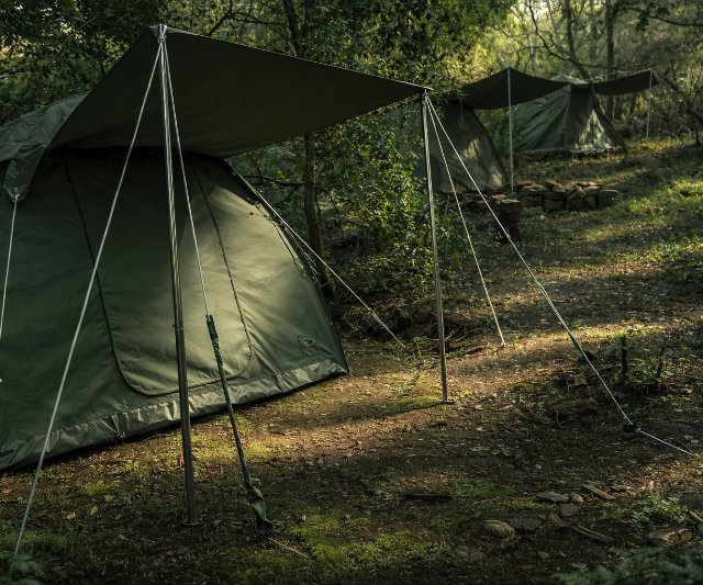 Camp Wild